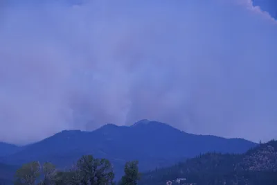 DSC_1865 (Large).JPG